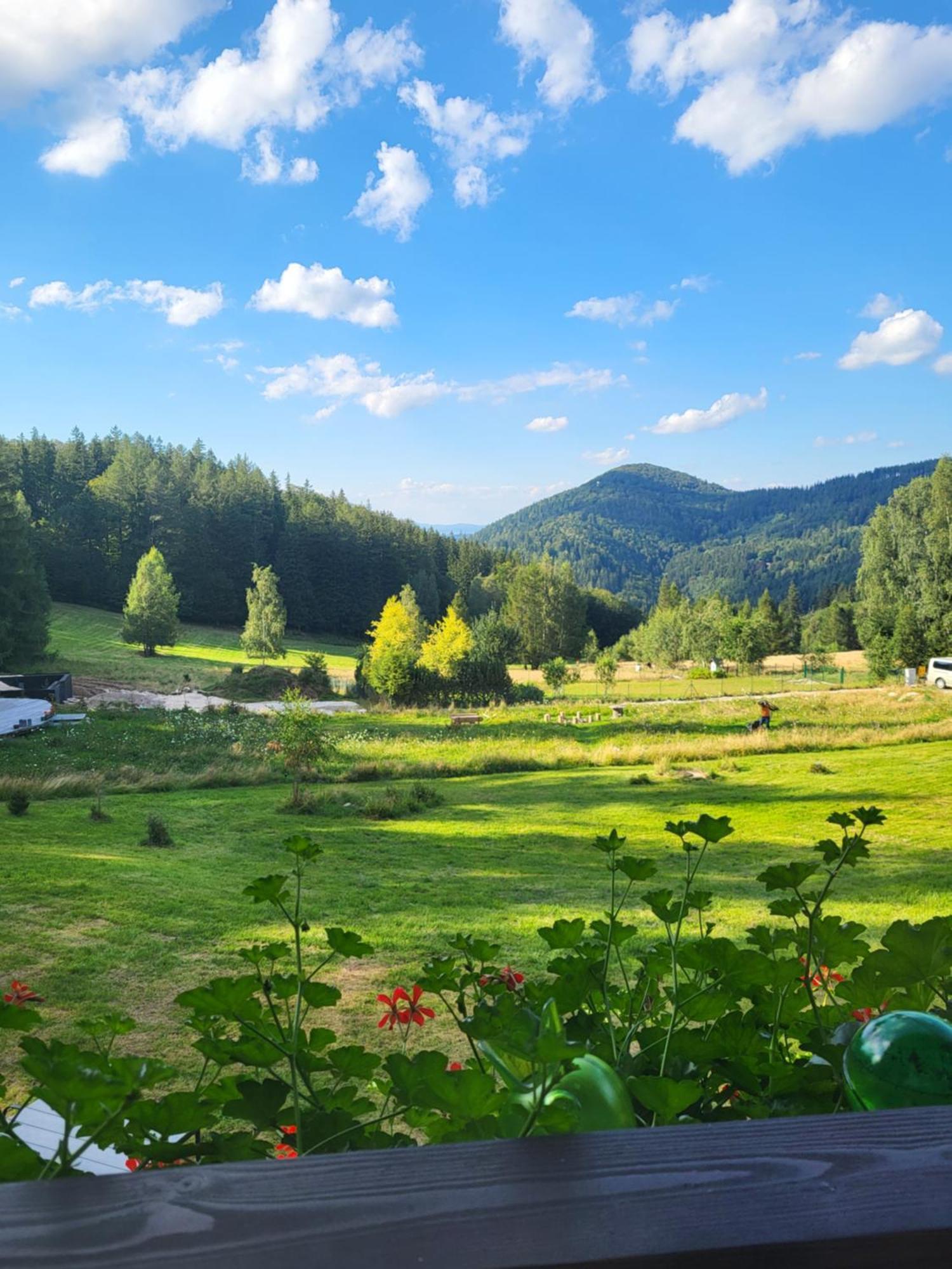 Oranska Bed & Breakfast Miedzygorze Exterior photo